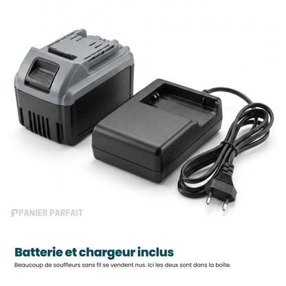 Souffleur aspirateur électrique sans fil 2 en 1 rechargeable