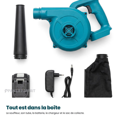 Souffleur aspirateur électrique sans fil 2 en 1 rechargeable