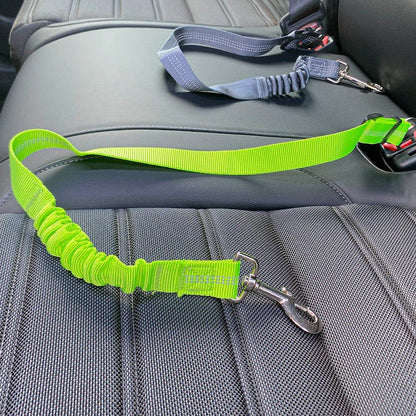 Ceinture de sécurité pour chien réglable robuste
