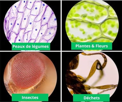 Microscope de poche puissant à grossissement élevé