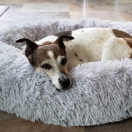Coussin apaisant déhoussable pour chien et panier lit