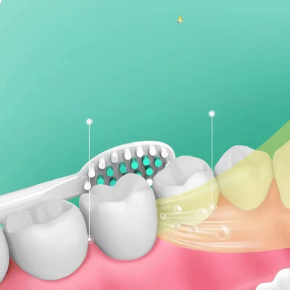 CleanFlex™ – Brosse à Dents Sonique Non-Rechargeable Élimination de Plaque