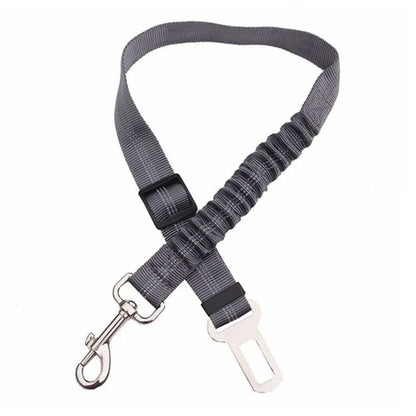 Ceinture de sécurité pour chien réglable robuste