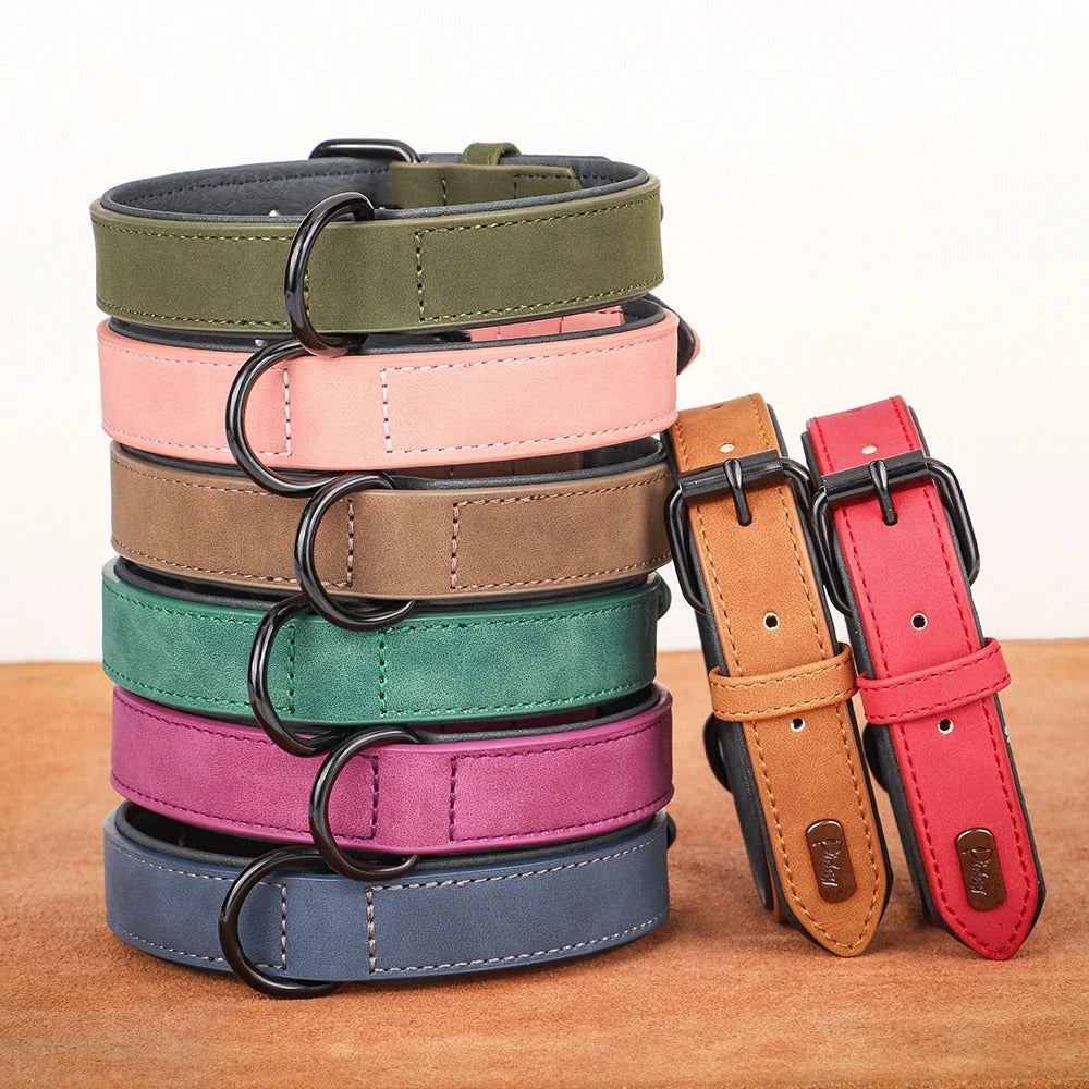 Collier réglable en nylon pour grands chiens