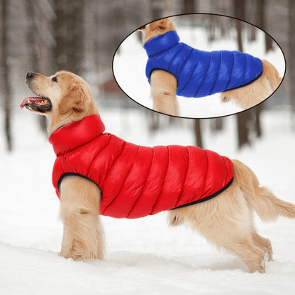 Manteau imperméable réversible pour chien léger