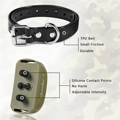 Collier de dressage électrique à télécommande pour chien