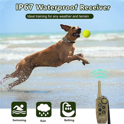 Collier de dressage électrique à télécommande pour chien