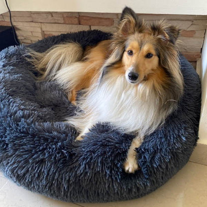 Coussin apaisant déhoussable pour chien et panier lit
