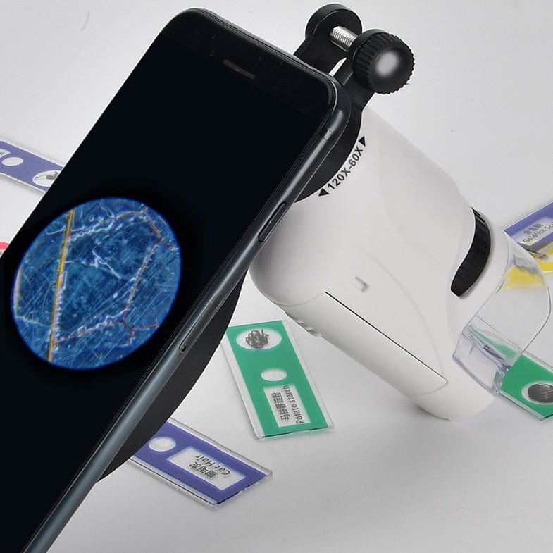 Microscope de poche puissant à grossissement élevé