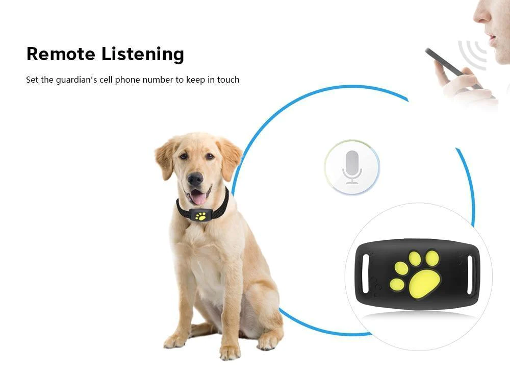 Localisateur GPS portable pour animaux de compagnie